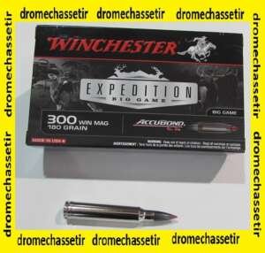 1 boite de 20 cartouches calibre 300 winchester Magnum, Winchester Accubond 180 grs