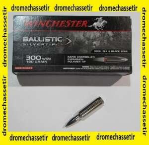 1 boite de 20 cartouches calibre 300 WSM, Winchester Ballistic Silvertip 180 grains