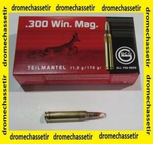 1 boite de 20 cartouches Geco, teilmantel (demi-blindée), 170 grains, calibre 300 Winchester Magnum