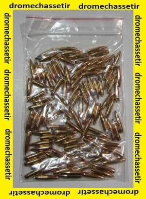 sachet  100 Ogives Lapua cal 22 OTM Scenar L HPBT 77 grains ref GB545