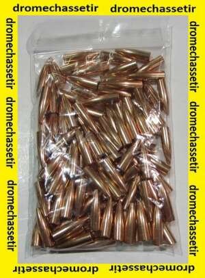 lot 100 ogives PARTIZAN cal 284 (7mm) 120 grains Hollow Point (HP)