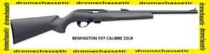 carabine semi autamatique remington 597, calibre 22lr