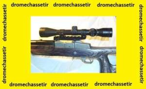 Rail weaver pour ruger mini 14 ranch