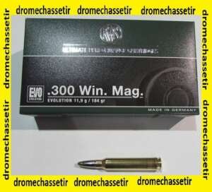 1 boite de 20 cartouches calibre 300 Winchester Magnum , EVO 184 grains, 11,9 grammes
